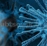 wuhan-coronavirus-hopital-huoshenshan-1_h.jpg - Администрация г. Рубцовск