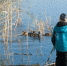 6108189_xlarge_h.jpg - Администрация г. Рубцовск