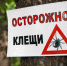 image17817_h.jpg - Администрация г. Рубцовск