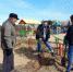 В Рубцовском районе появилась Аллея детства - Rubtsovsk.Info