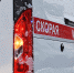 В Петербурге 13-летняя школьница отравилась алкоголем и попала в реанимацию - вРубцовске