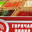 Рубцовчан проконсультируют по вопросам качества овощей и фруктов - Rubtsovsk.Info