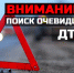 В Рубцовске ищут водителя сбившего 9-летнюю девочку - Газета Местное время
