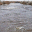 В Рубцовске уровень воды в реке Алей находится в пределах нормы - Газета Местное время