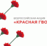 В Рубцовске проходит акция «Красная гвоздика» - Rubtsovsk.Info