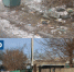 150 кубических метров мусора уберут в Рубцовске - Rubtsovsk.Info