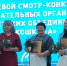 111_h.jpg - Администрация г. Рубцовск