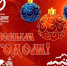 Юго-Западное ДСУ поздравляет с Новым годом и Рождеством! - Юго-Западное ДСУ