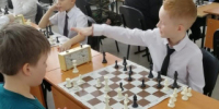 Рубцовские школьники примут участие в краевом этапе соревнований по шахматам «Белая ладья» - Rubtsovsk.Info