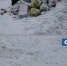 В Рубцовске ликвидируют 800 кубометров несанкционированных свалок - Rubtsovsk.Info