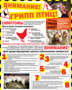 Памятка для населения по профилактике высокопатогенного гриппа птиц