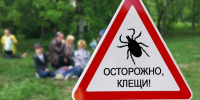 Осторожно, клещи! - Администрация г. Рубцовск