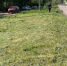 Рубцовские коммунальщики наводят порядок на улицах города - Rubtsovsk.Info