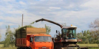 Аграрии Алтайского края заготовили свыше 700 тысяч тонн грубых и сочных кормов - Rubtsovsk.Info