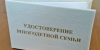 Рубцовчанам рассказали о том, как получить удостоверение многодетной семьи - Rubtsovsk.Info