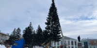 Главную городскую елку доставили в Рубцовск - Rubtsovsk.Info