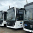 В 2026 году Рубцовск получит 8 новых автобусов - Rubtsovsk.Info