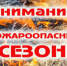 9 апреля в Рубцовском районе начнется пожароопасный сезон - Rubtsovsk.Info