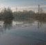 В Рубцовске уровень воды в реке Алей ниже критического - Rubtsovsk.Info