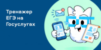 Рубцовские выпускники могут готовиться к ЕГЭ с Госуслугами - Rubtsovsk.Info