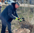Игорь  Башмаков принял участие в общегородском субботнике - Rubtsovsk.Info