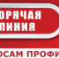 Горячая линия по вопросам профилактики клещевого энцефалита и других инфекций, передающихся клещами - Рубцовский район